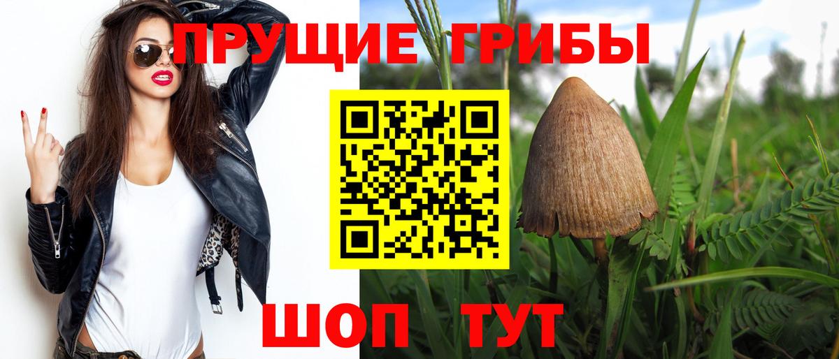 Нальчик  Псилоцибиновые грибы прущие грибы  Галлюциногенные грибы Magic Shrooms  Вход с VPN 